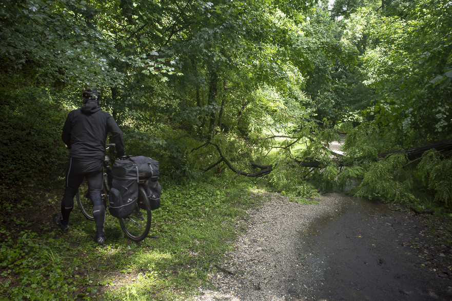 Umgefallener Baum versperrt den Weg